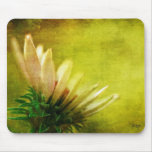 Réveil de la fleur d'echinacée de Coneflower Tapis De Souris