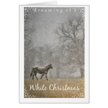 Rêver d'une photographie Noël-Équine blanche Cartes