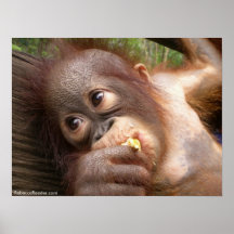 Rêves animaux de maman affiche