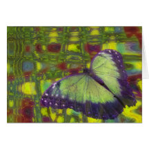 Rêves de papillon cartes de vœux