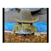 rEx de chapeau du cousin de Texe grand… Cartes Postales