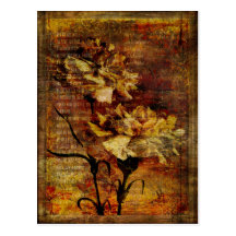 Rhapsodie d'oeillet cartes postales