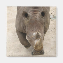 Rhinocéros Aimants