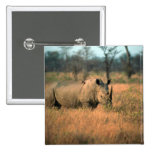 Rhinocéros blanc pin's