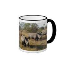 Rhinocéros blancs dans la tasse de Sabi Sabi (Afri