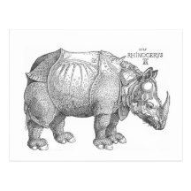 Rhinocéros Carte Postale