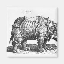 Rhinocéros, de 'Historia Animalium Aimant