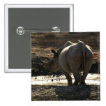Rhinocéros, vue arrière badge avec épingle