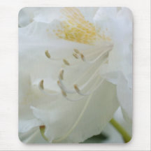 Rhododendron blanc du rhododendron | Weisse Tapis De Souris