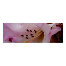 Rhododendron rose du rhododendron | Rosa Cartes De Visite Personnelles