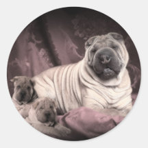 Rides vintages de Shar Pei de Chinois, chiots Adhésif Rond