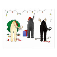 Rien n'aboutent Noël afghan Cartes Postales