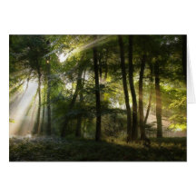 Rien plus beau - carte de voeux