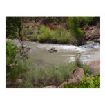 riverwalk de zion carte postale