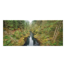 Rivière de Lewis d'impression de panorama de beaux Photographies