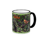 Robin dans une haie tasse à café