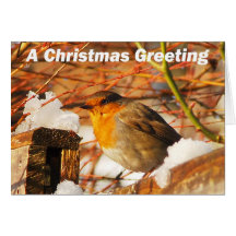 Robin et neige carte de vœux