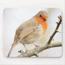 Robin gai tapis de souris