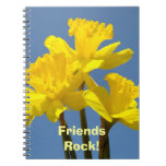 Roche d'amis ! Fleurs jaunes de jonquilles de carn