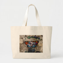 ROCHE DE PAPILLON SAC