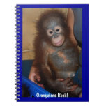 Roche d'orangs-outans carnets
