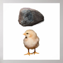 Roche + Poussin Poster