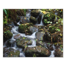 Roches le long de la rivière de Lewis Photographies