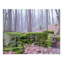 Roches vivantes, copie 11 x 14 photo sur toile