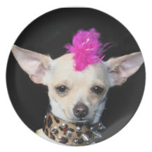 Rocker punk de chiwawa assiette