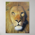 Roi de la jungle poster