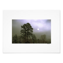 ROMANCE de CLAIR DE LUNE par le CR SINCLAIR Art Photographique
