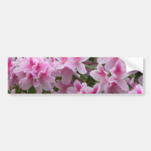 Romantic Blissful Blossoms Bumper Sticker
