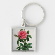 Rosa Gallica Regallis Porte-clés