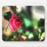 Rosa Tapis De Souris