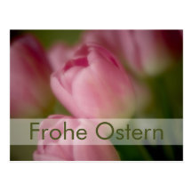 Rosa Tulpen • Oster-Postkarte Carte Postale