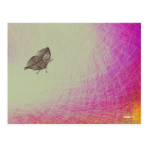 Rose 33 carte postale