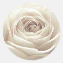 Rose assez blanc autocollant
