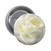 Rose blanc 3 angélique badges avec agrafe