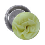 Rose blanc - le coeur de l'ange pin's