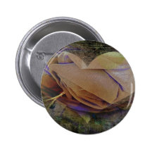 Rose couleur pêche d'image de coeur badge avec épingle