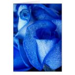 Rose de bleu cartes de vœux