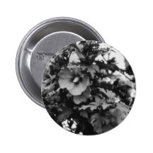 Rose de bouton de Sharon Badge Avec Épingle