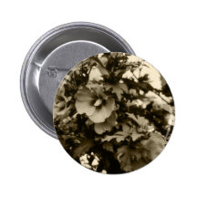 Rose de bouton de Sharon Badges Avec Agrafe