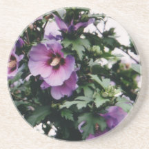 Rose de caboteur de Sharon Dessous De Verre