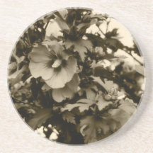 Rose de caboteur de Sharon Dessous De Verres