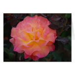 Rose de carte de beauté