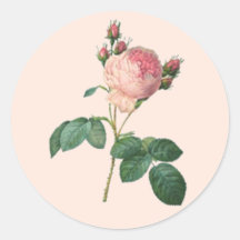 Rose de chou botanique autocollants ronds
