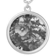 Rose de collier de Sharon