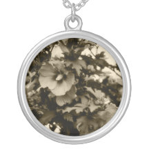 Rose de collier de Sharon