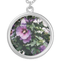 Rose de collier de Sharon
